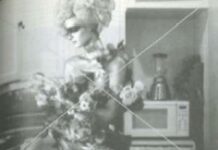 Living Fictions: Os Filmes de Isabell Spengler