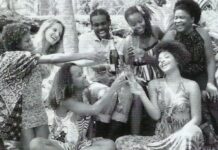 Vamos Fazer um Brinde