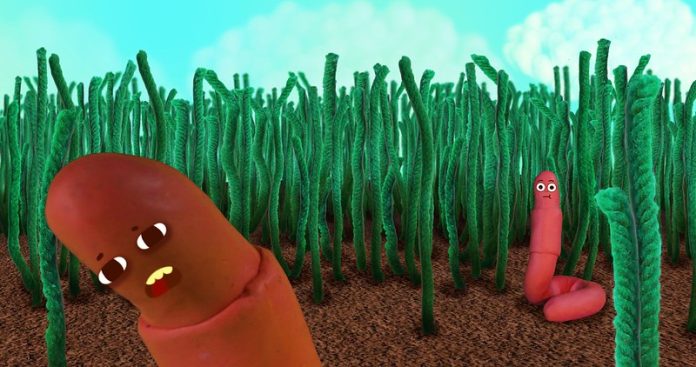 52416706088_34b4996d43_c