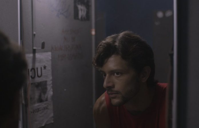 52419317406_2f30a570b9_c Promessa de um Amor Selvagem