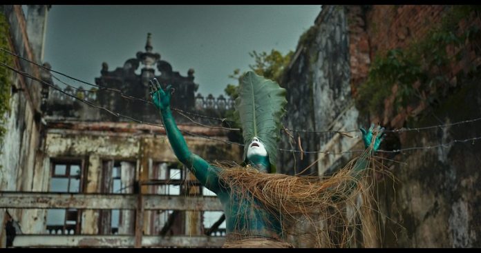 52423579131_331aba812f_c