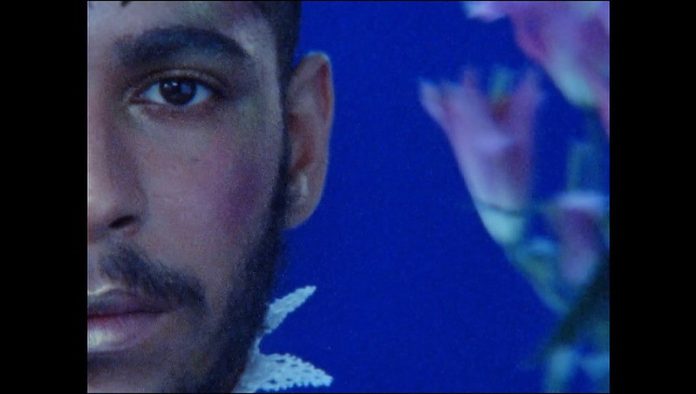 52426541350_daef7f0385_c https://vimeo.com/568136227