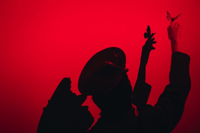 52440544645_8d1d702680_c