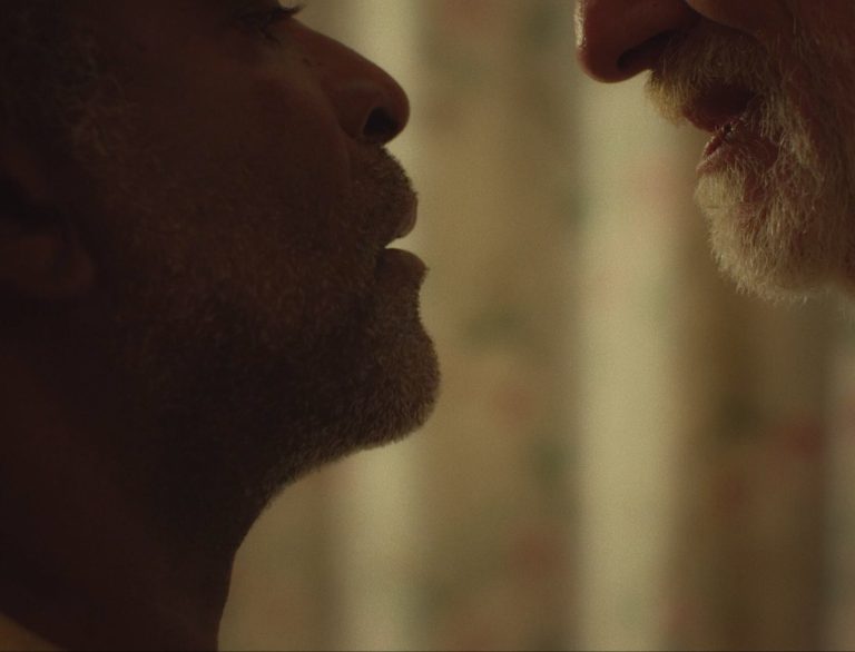 Os Animais Mais Fofos e Engraçados do Mundo